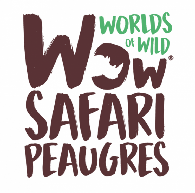 Safari de Peaugres