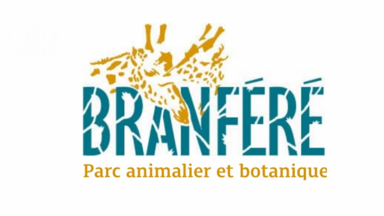 Branfr