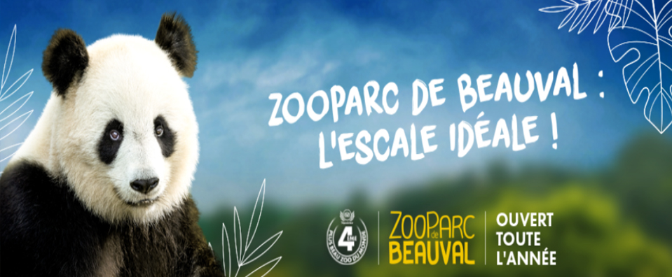 Zoo de Beauval - 498