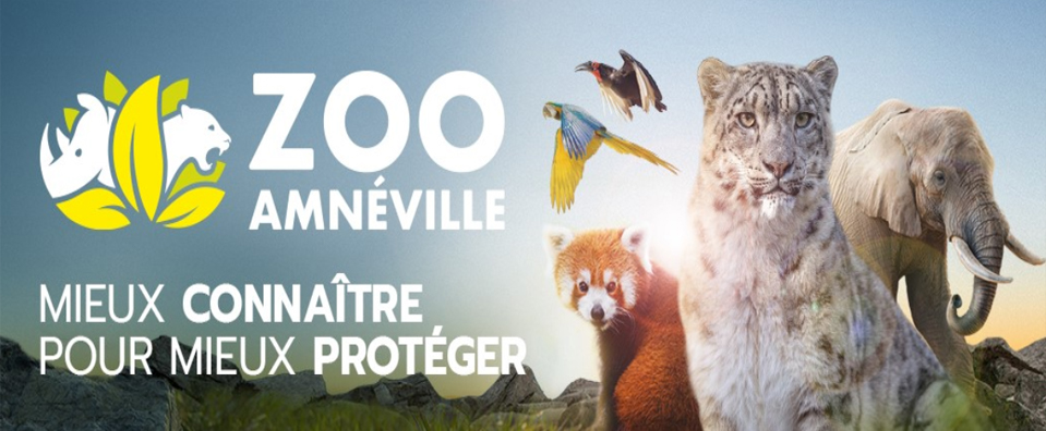 Zoo d'Amnéville - 517