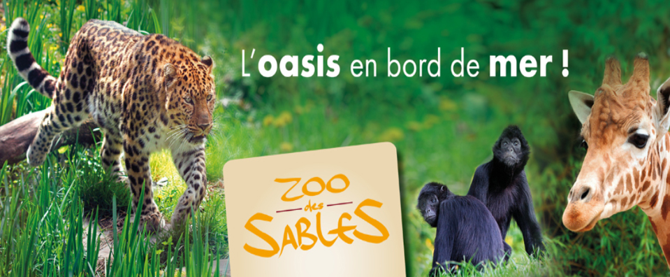 Zoo des Sables - 515